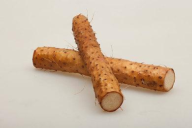 《星空》新BETA补丁在PC上线 改进游戏性能